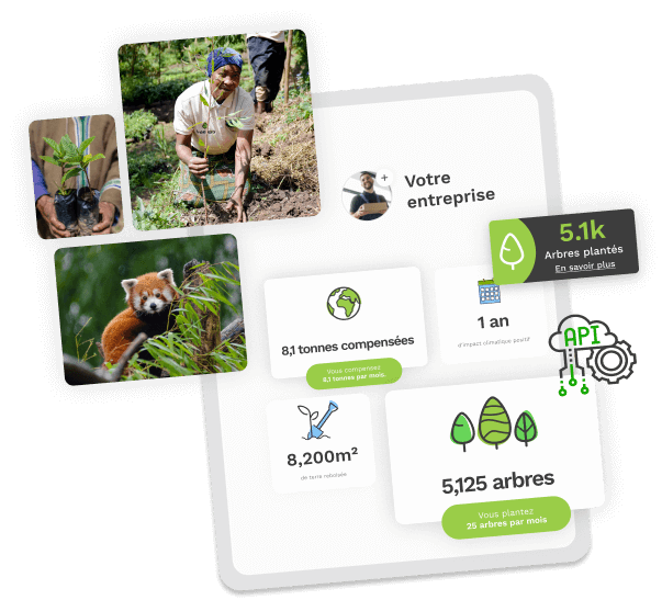 Le tableau de bord B2B de Treeapp