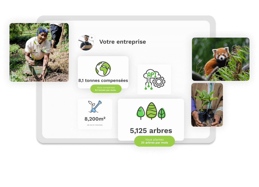 Le tableau de bord B2B de Treeapp.