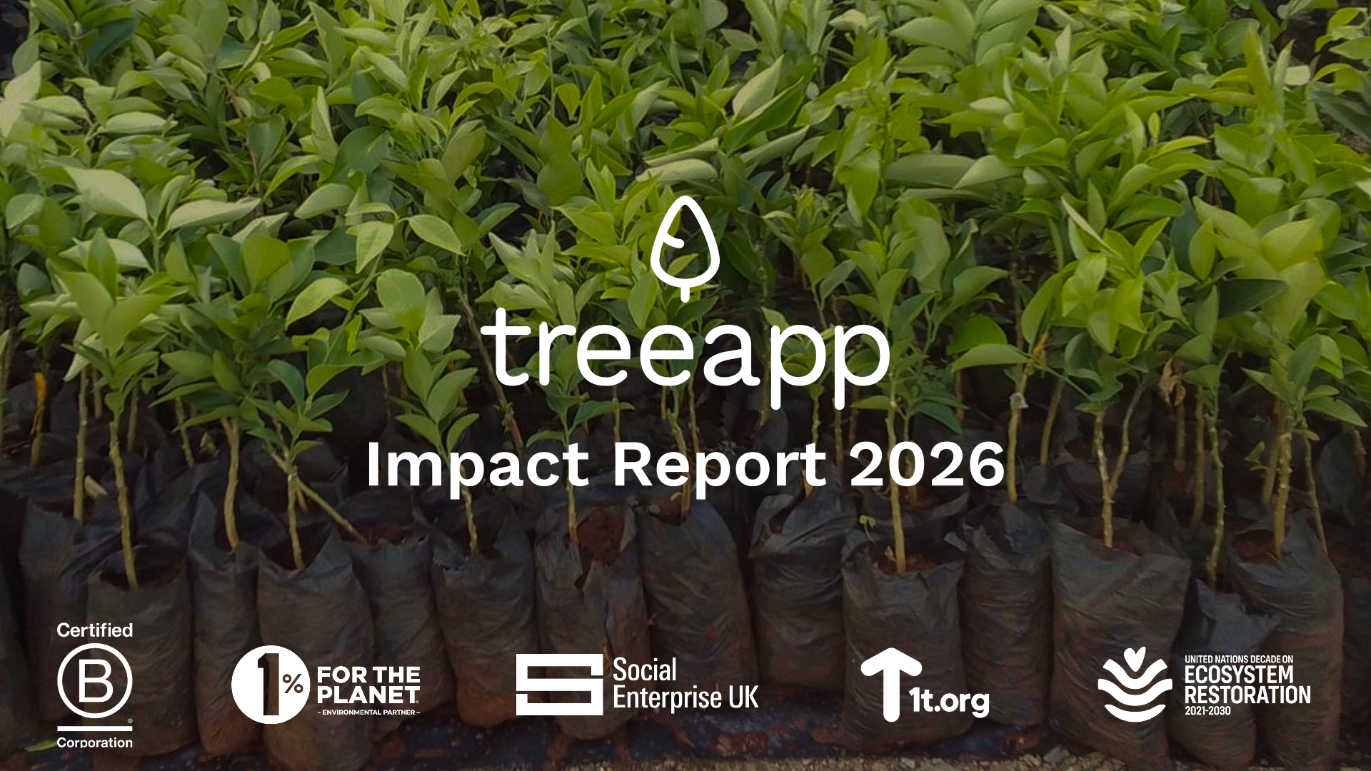 Impact Report 2026 cover