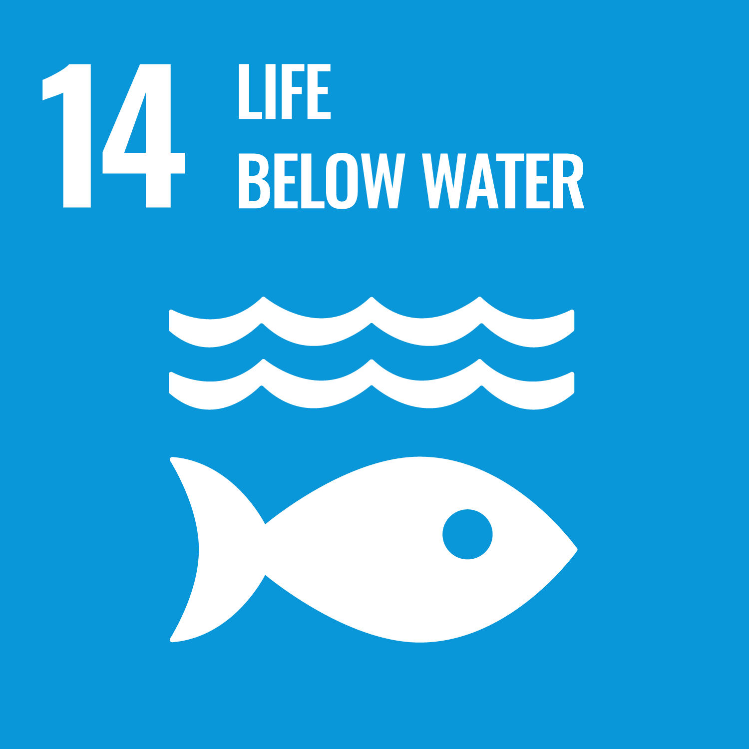 SDG Goal 14 - Life Below Water icon