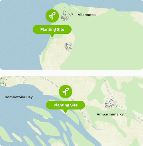 Treeapp site in Madagascar