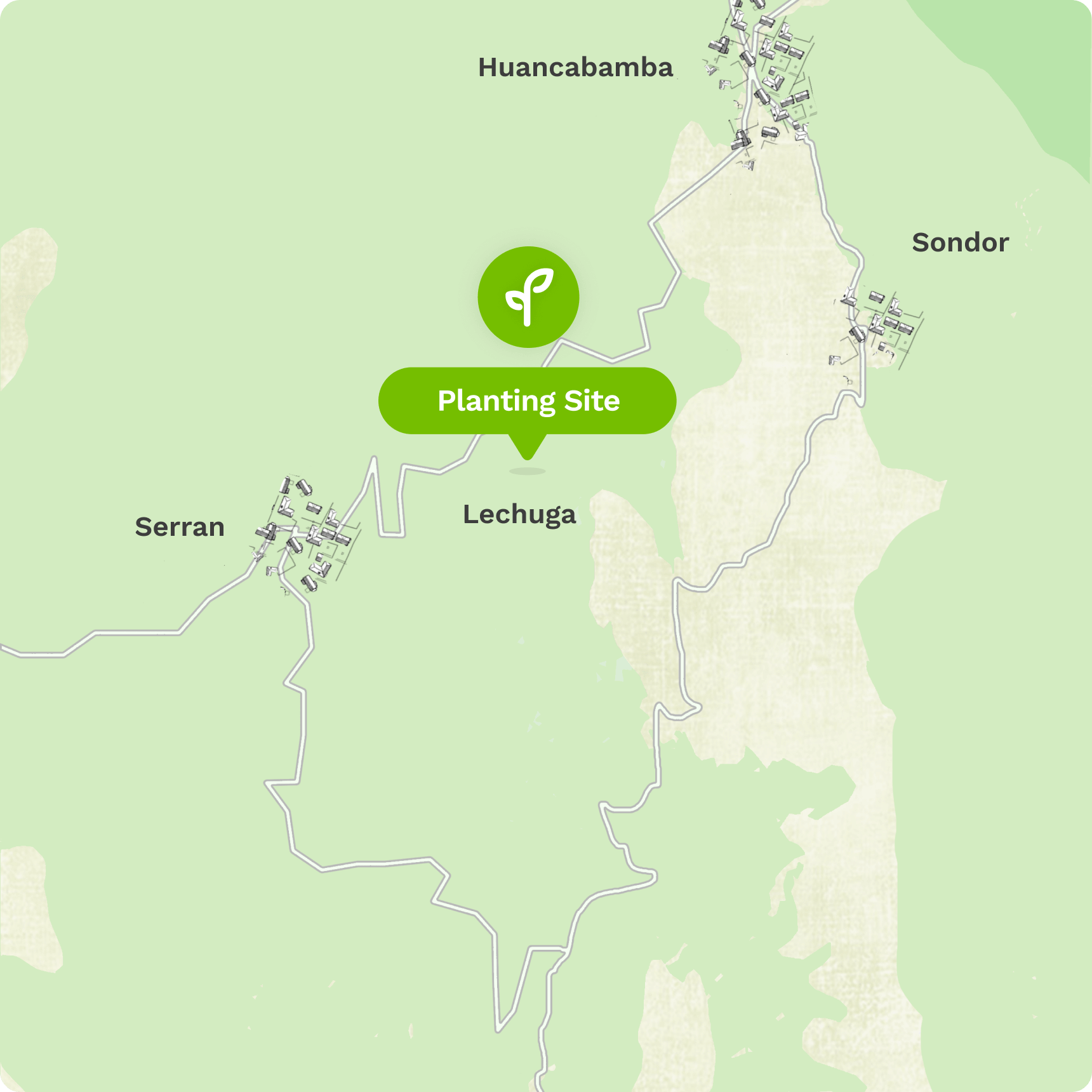 Treeapp site in Peru