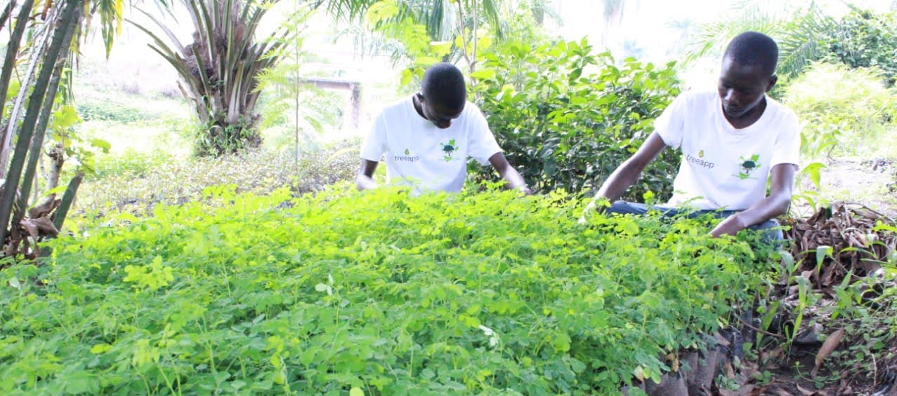 Local planters wearing our Treeapp T-shirts in our tree nurseries.