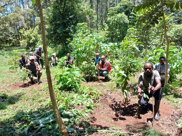 Our tree planters in Kenya checking on the tree growth.