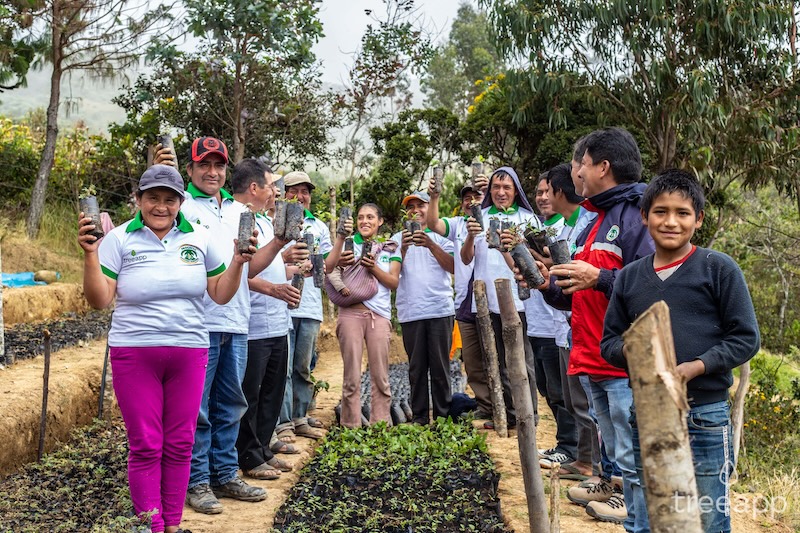 The Treeapp team planting saplings during the rainy season.