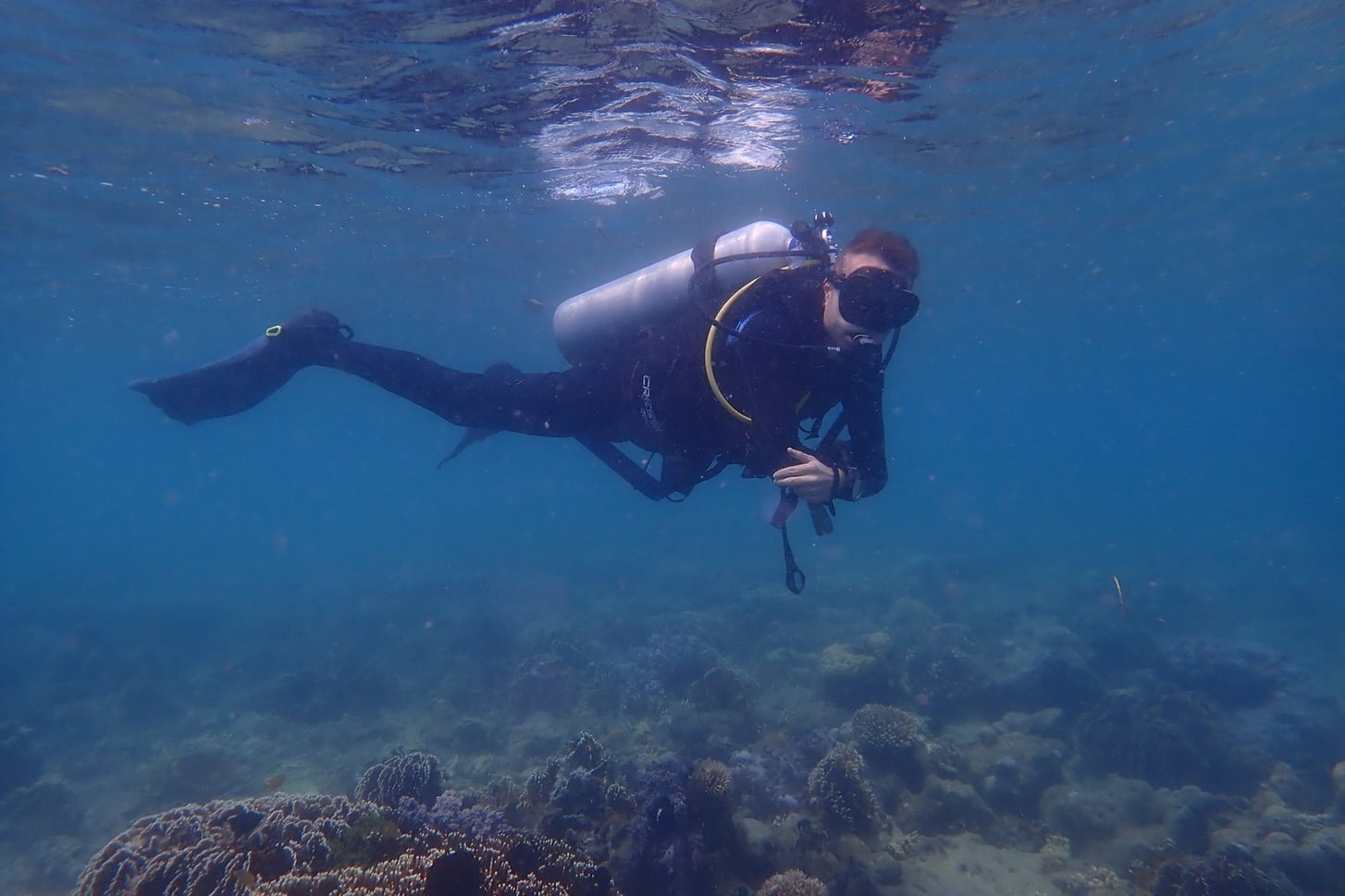A Diver as part of Sorce’s underwater research team with Treeapp
