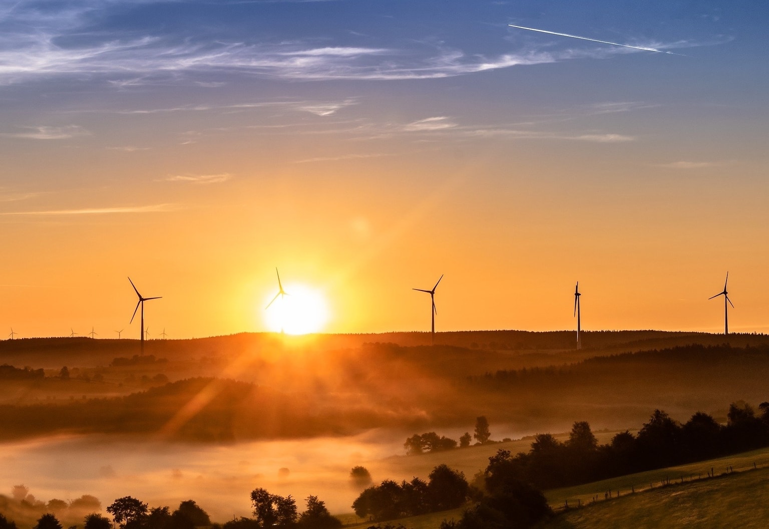 Photo: Field of windmills (Source: Unsplash)