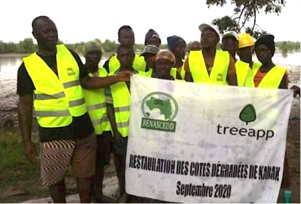 Mangroves planted on the Treeapp Site in Kaback, Guinea