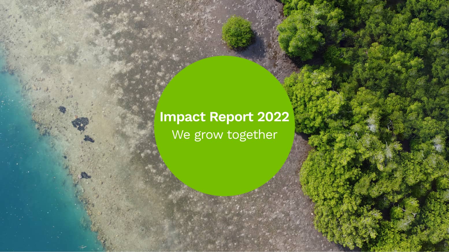 Our Impact Report: We grow together