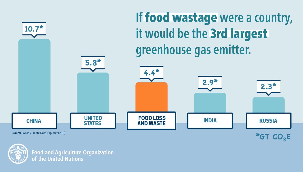 Photo: Graph on Food Wastage (Source: WRIs Climate Data Explorer, 2011)