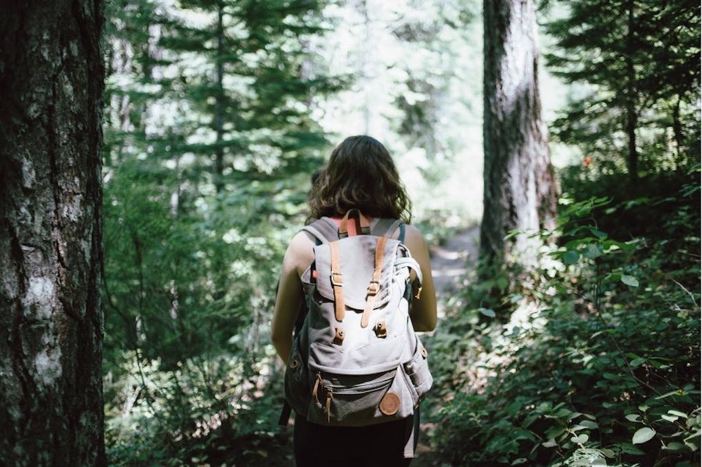 Plantation d’arbres pour les entreprises avec Treeapp