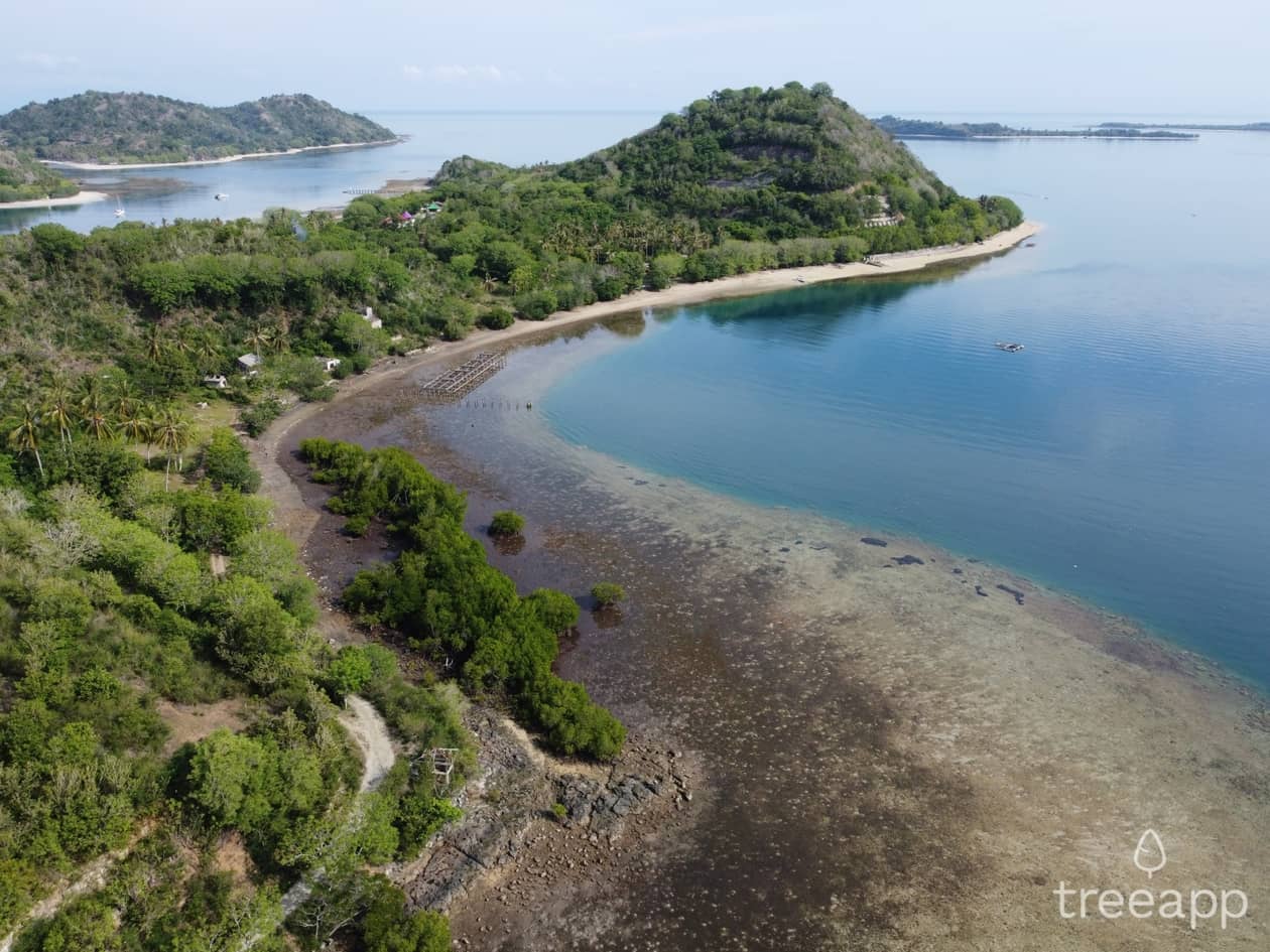 New Treeapp planting site in Lombok, Indonesia