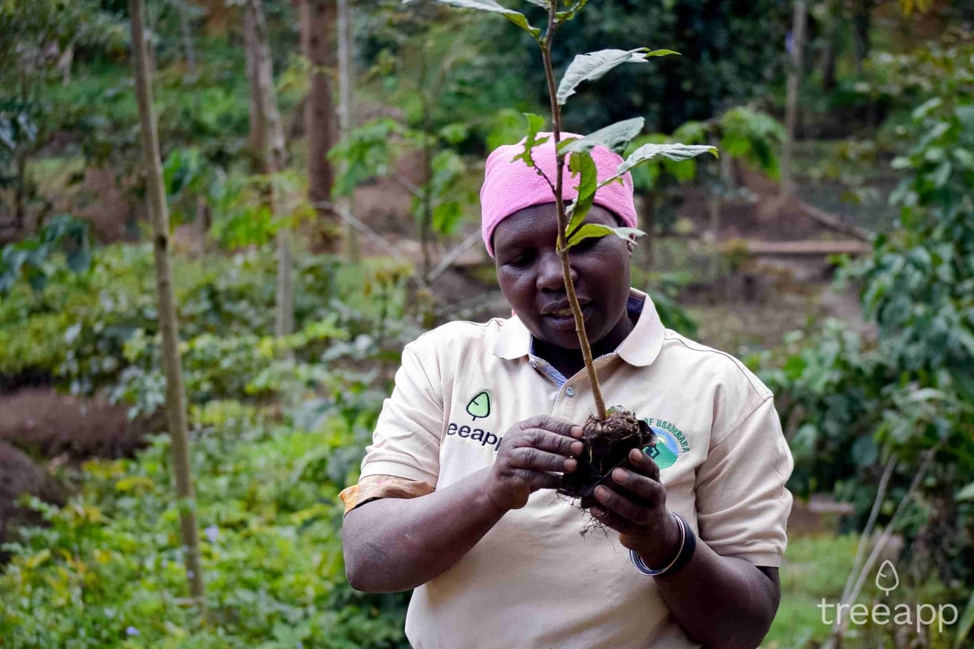 One of Treeapp’s planters in Tanzania planting seedlings. 