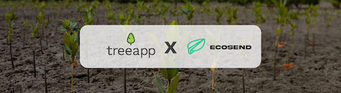 One Sign-Up, One Tree: EcoSend Automates Tree Planting