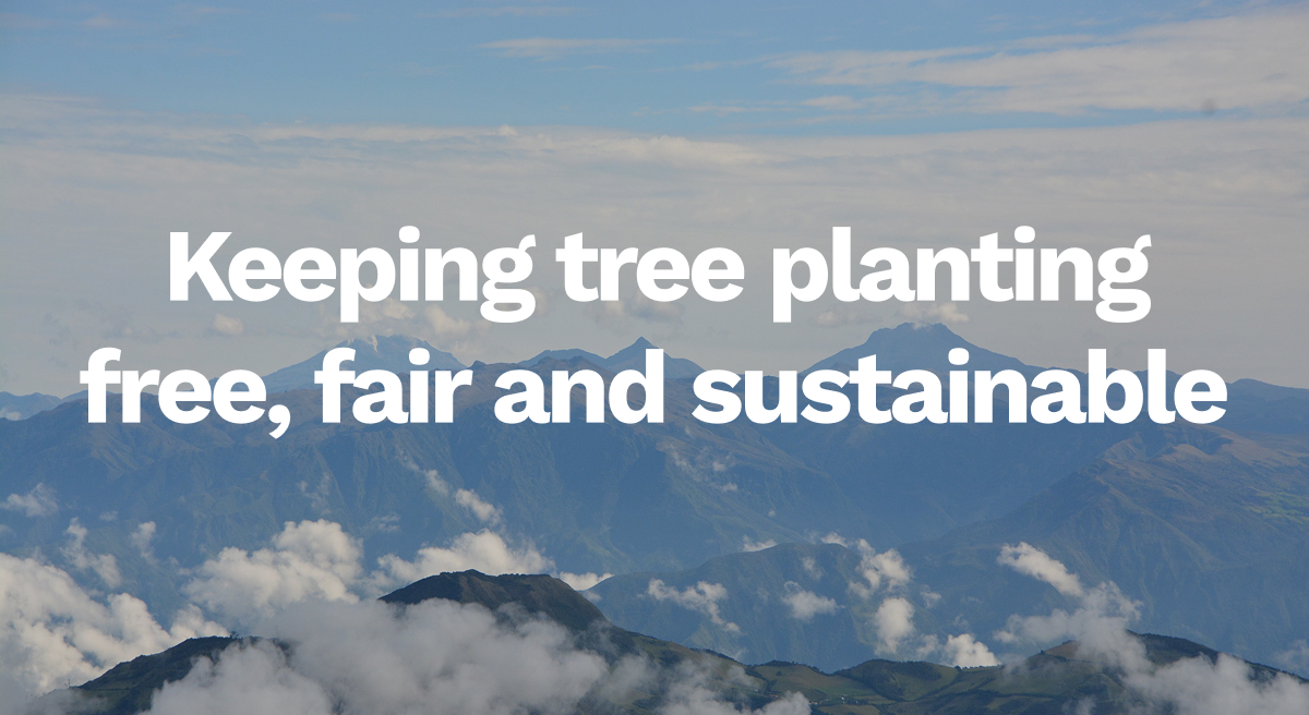 Keeping Tree Planting Free, Fair and Sustainable
