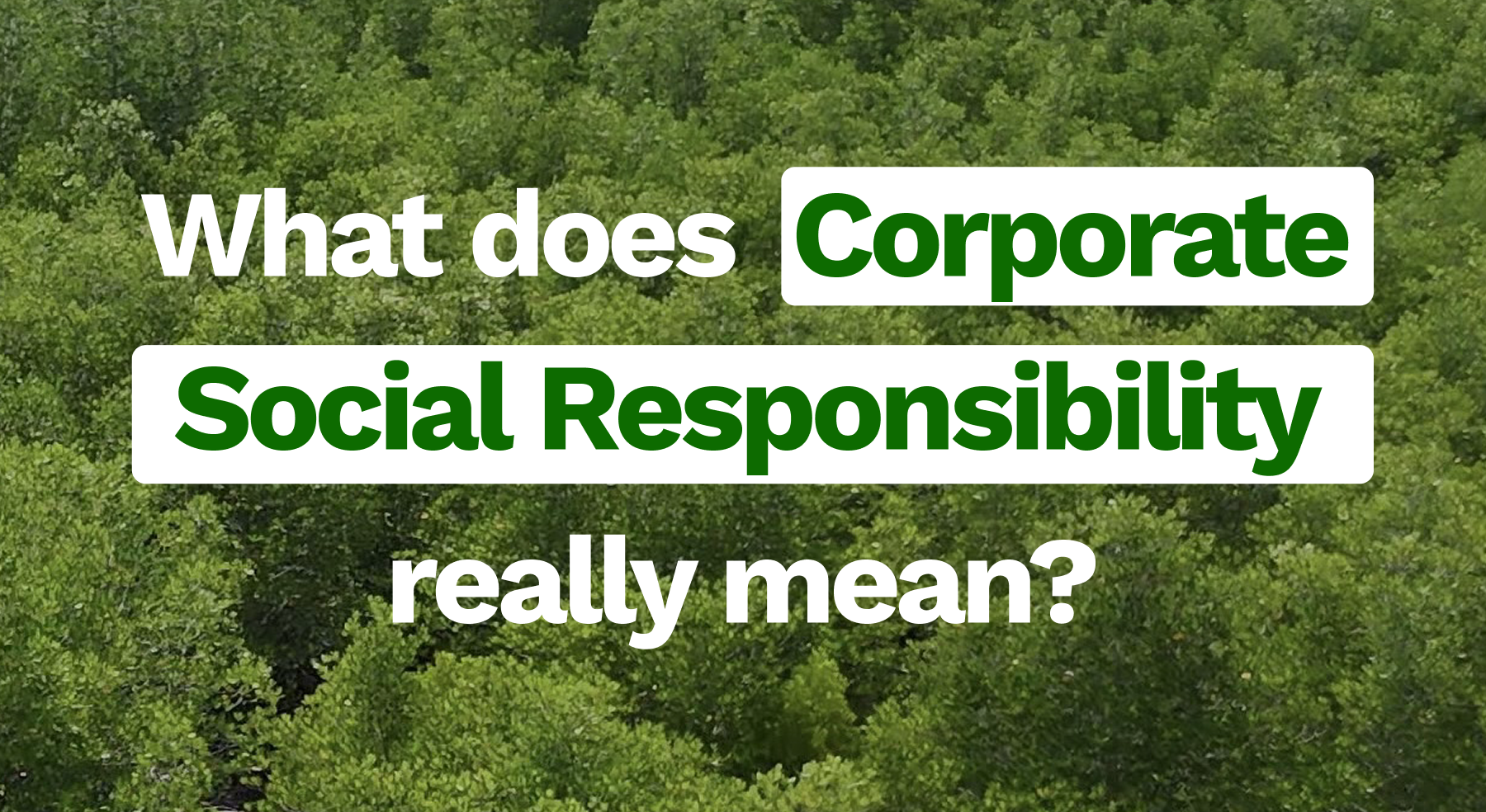What Does Corporate Social Responsibility Really Mean?