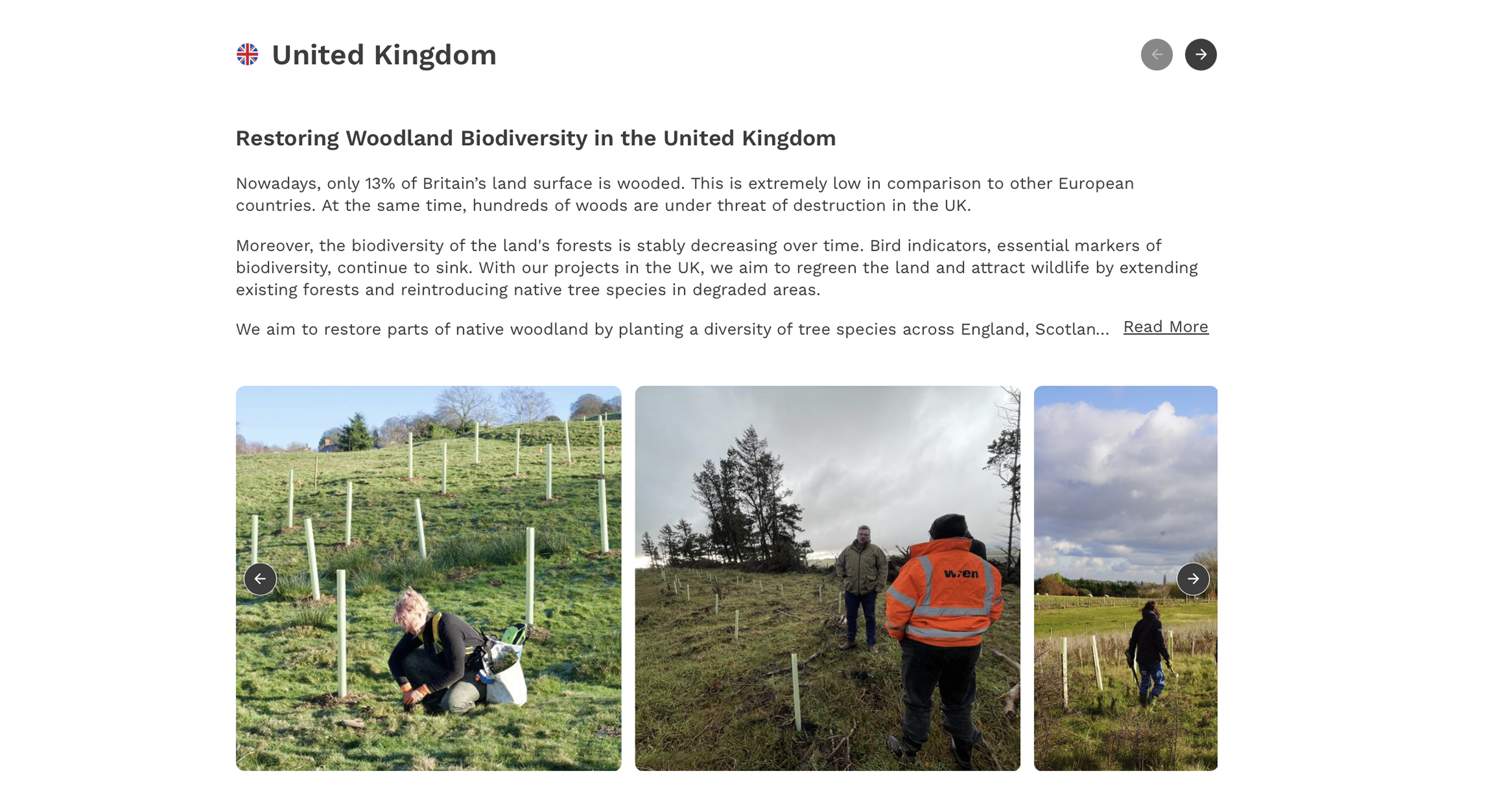 Treeapp tree planting in the UK Treeapp-tree-planting-in-the-UK