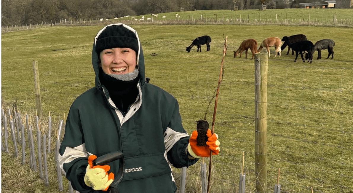 Treeapp_uk_tree_planting_season_northampton 