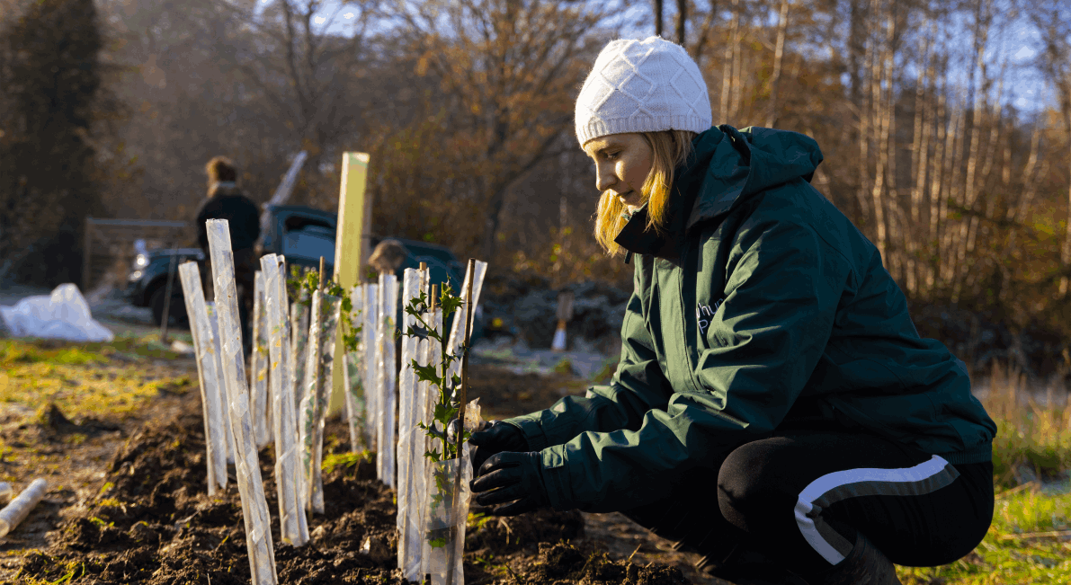 treeapp-ids-group-in-person-tree-planting