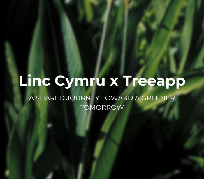 Linc Cymru's Forest Initiative with Treeapp