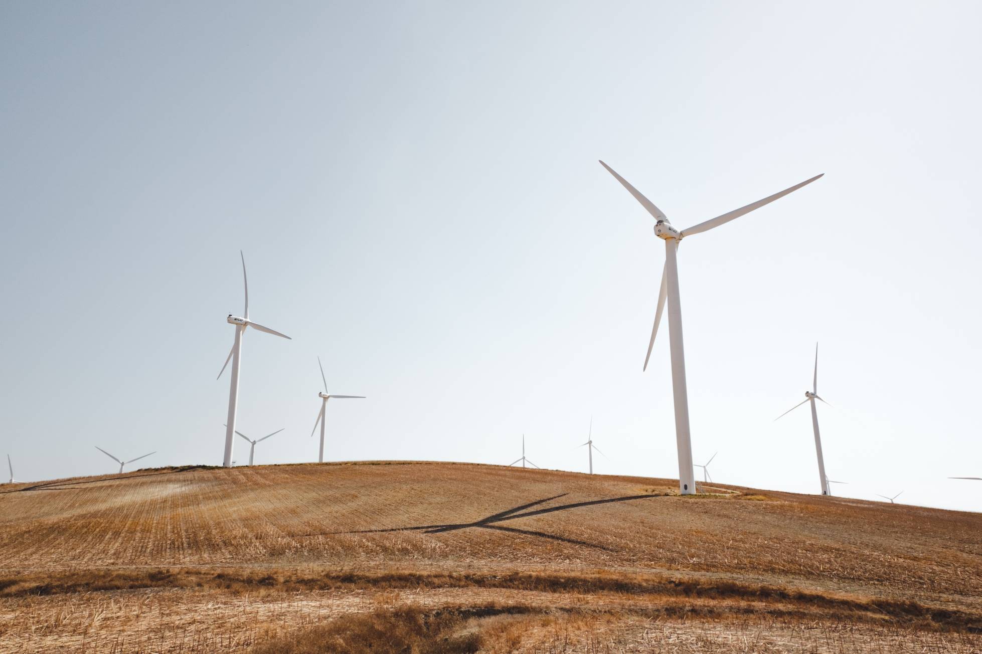 Wind turbines in field