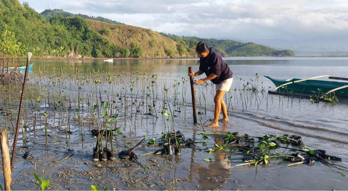 Treeapp-planting-mangroves