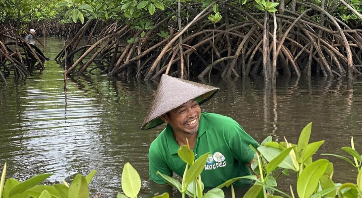 Treeapp-in-the-philippines