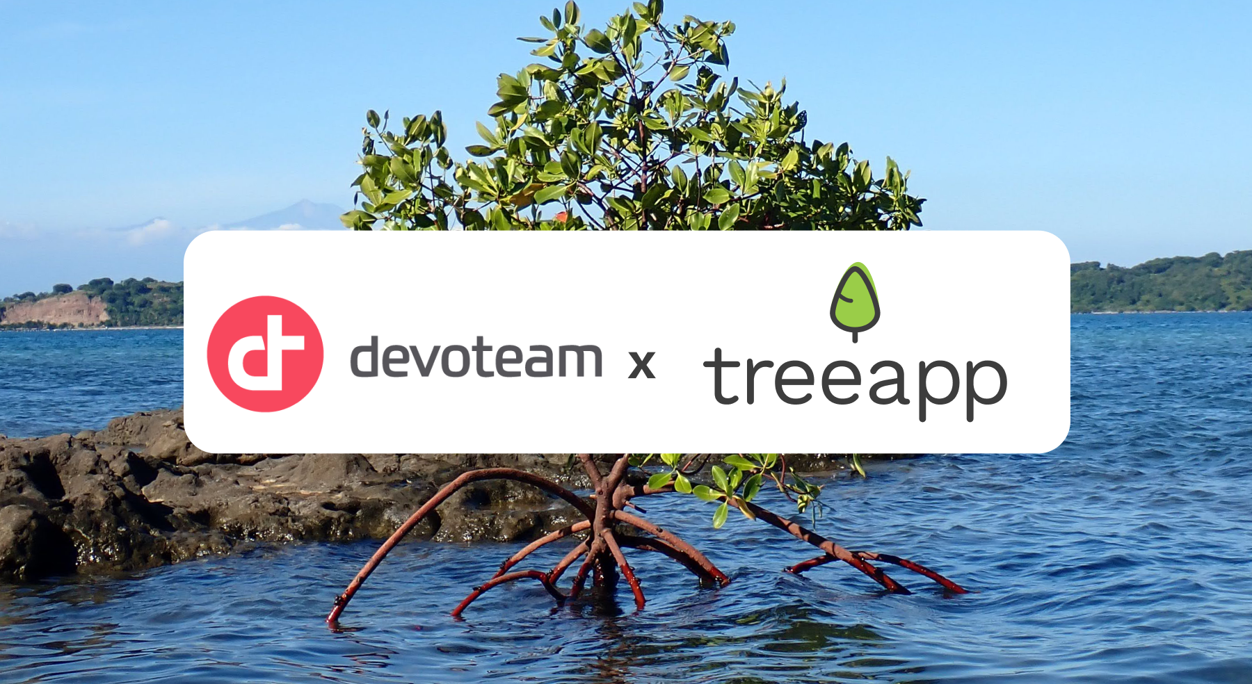 Treeapp Logo Treeapp : Blog