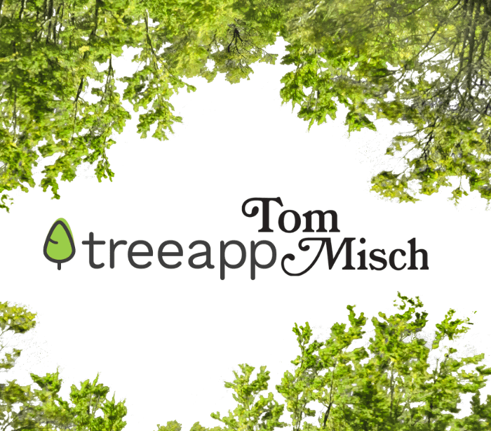 Tom Misch's Journey into Sustainability with Treeapp